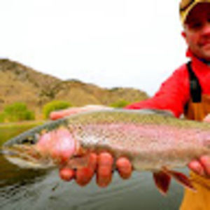 Meet your Posher, Walter